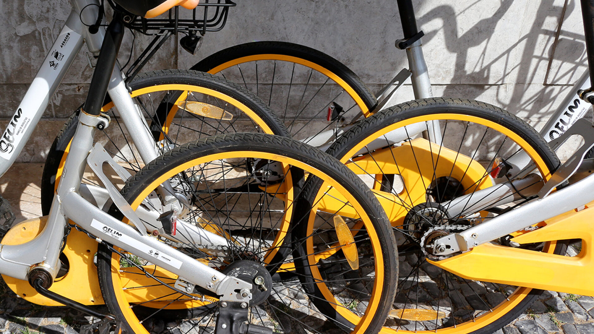 3ª Edição do Programa de Apoio à Aquisição de Bicicletas (PAAB)