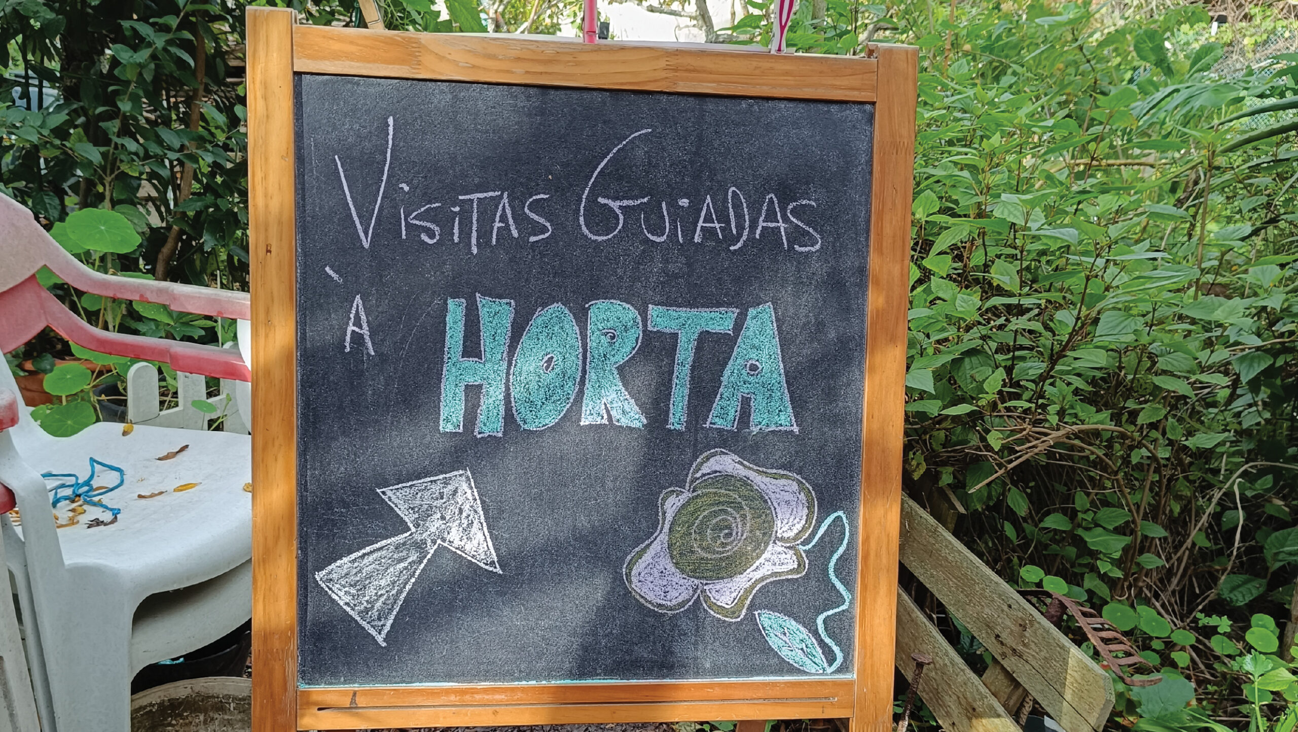Horta Urbana em Ambiente Escolar